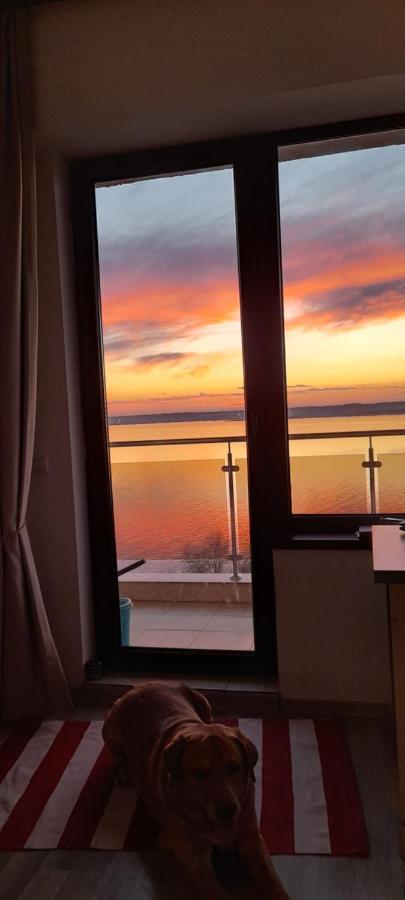 Bella Vista Summerland Mamaia Ngoại thất bức ảnh
